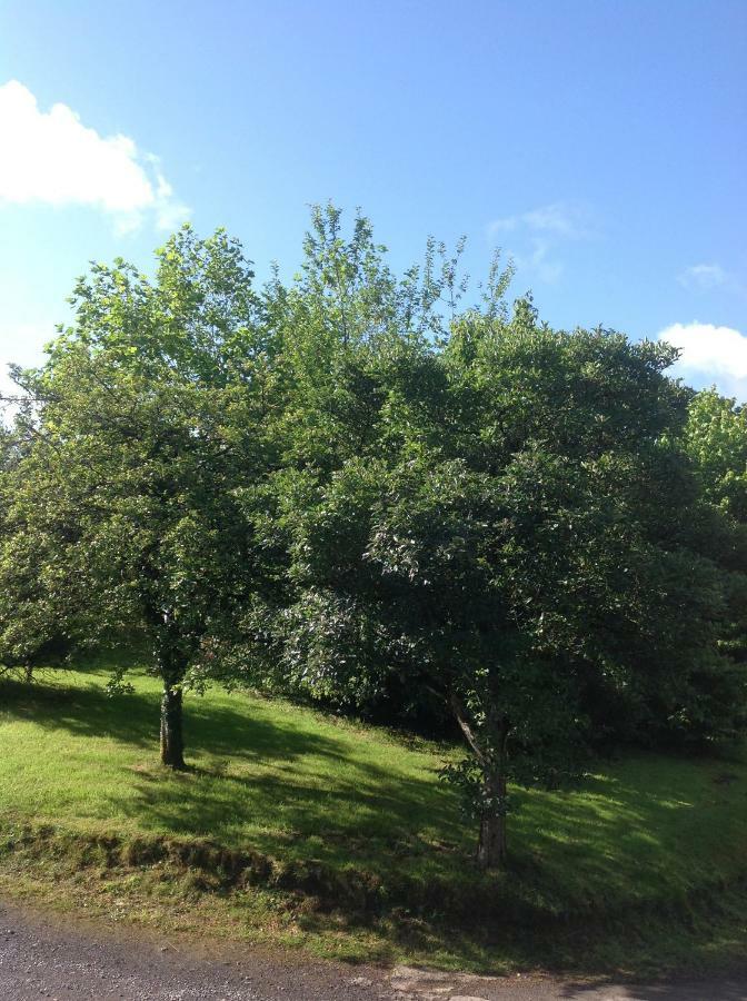 Cwmtwrch Cottage Carmarthen Buitenkant foto